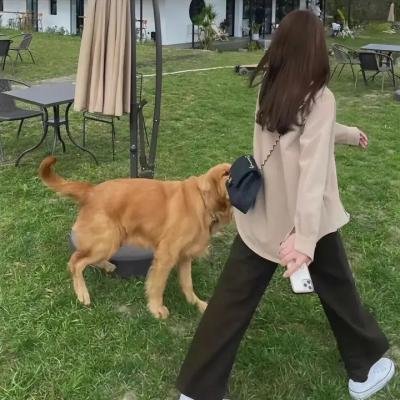 安娜和狼